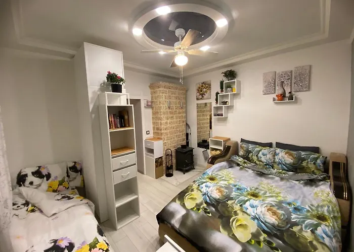 Colorfull Experience In Hause Built 1910 Fast Free Wifi Free Parking Riga