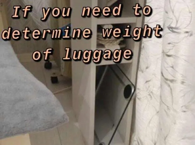 Dzīvoklis Colorfull Experience In Hause Built 1910 Fast Free Wifi Free Parking Riga