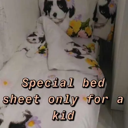 Daire Colorfull Experience In Hause Built 1910 Fast Free Wifi Free Parking